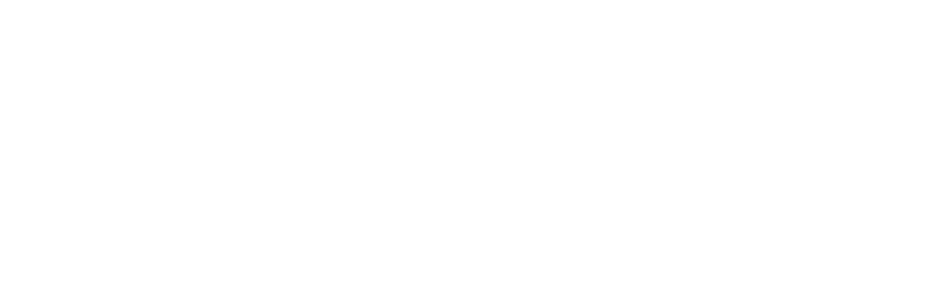 FSE LEGAL INFORMATION